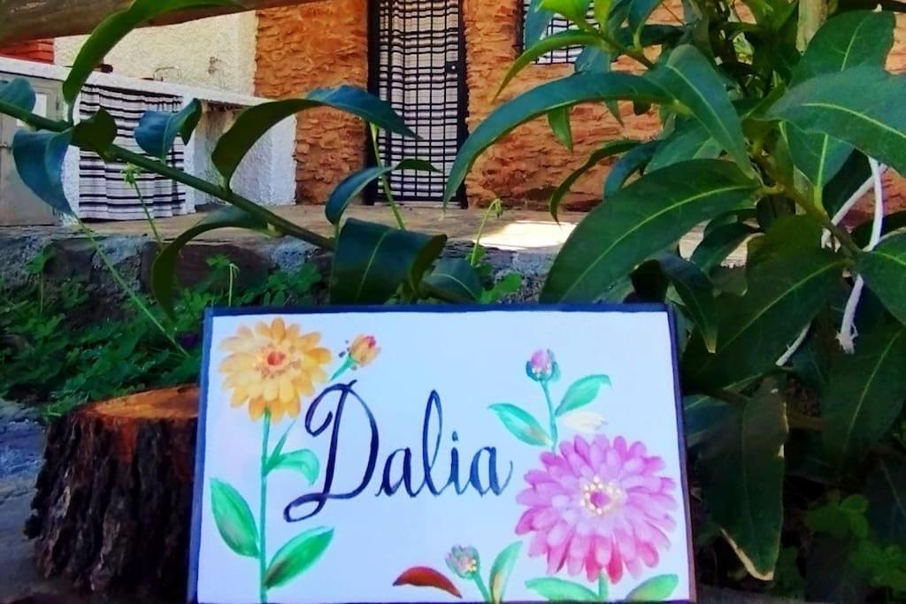 Paraje La Suerte Apartamento Dalia Adra Buitenkant foto